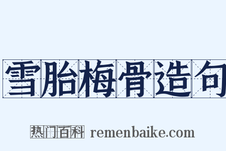 雪胎梅骨造句是什么意思的图片